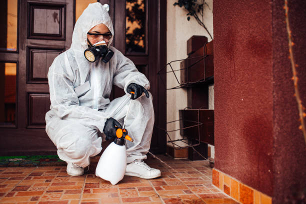 Reliable Wasp Removal contractor in Chamberlayne, VA by Show Me Pest Control