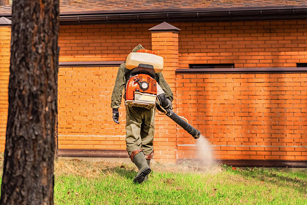 Top rated local Wasp Removal specialists in Chamberlayne, VA